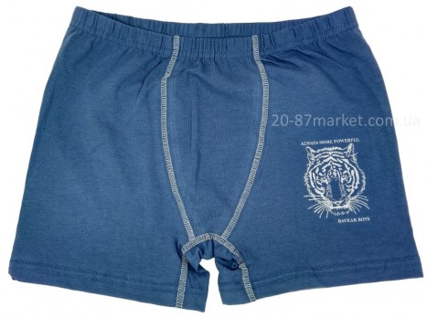 Трусы для мальчика синего цвета с изображением тигра