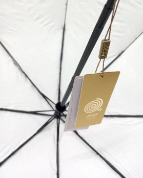 Спицы женского зонта Zest