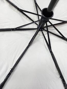 Шпиці жіночої парасольки